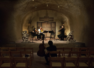 8-11 Clos Pegase-282