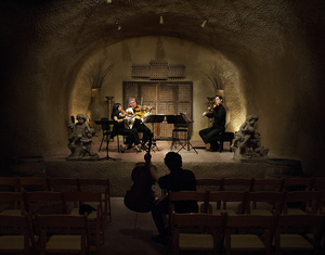 8-11 Clos Pegase-285