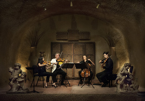 8-11 Clos Pegase-292