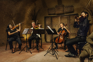 8-11 Clos Pegase-342