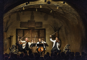 8-11 Clos Pegase-481