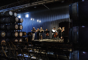 8-18 Black Stallion-401