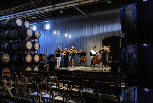 8-18 Black Stallion-402