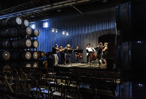 8-18 Black Stallion-408