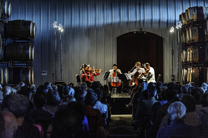 8-18 Black Stallion-440