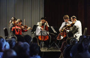 8-18 Black Stallion-455