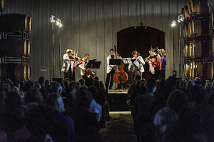 8-18 Black Stallion-519