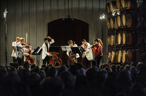 8-18 Black Stallion-527