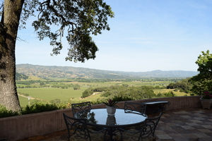 Splendid Mediterranean